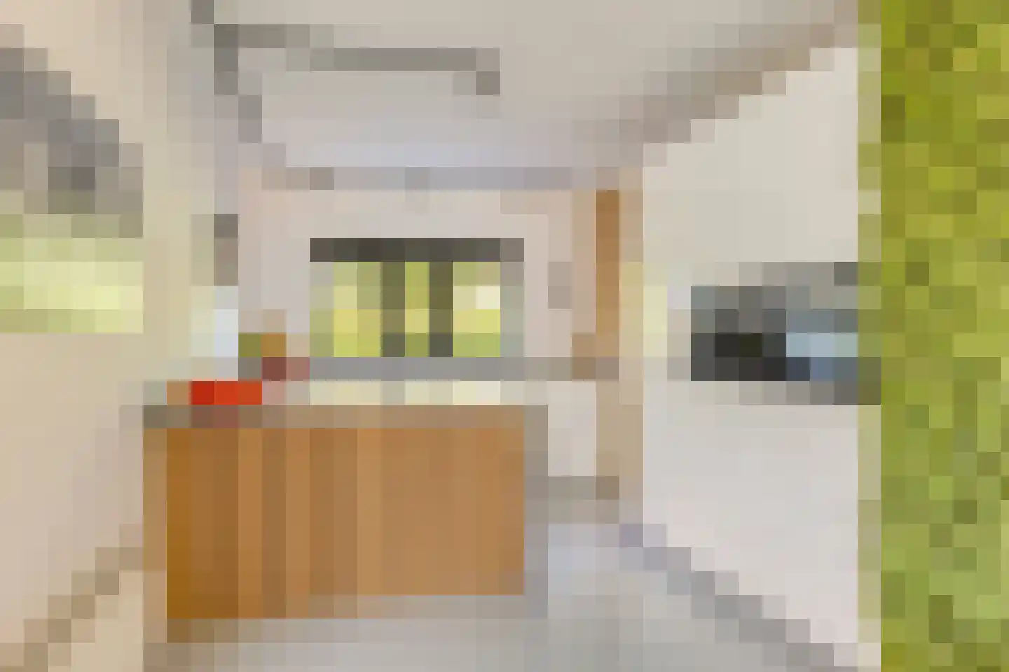 Johannes Tavenraatweg 2 Deventer thumbnail 14