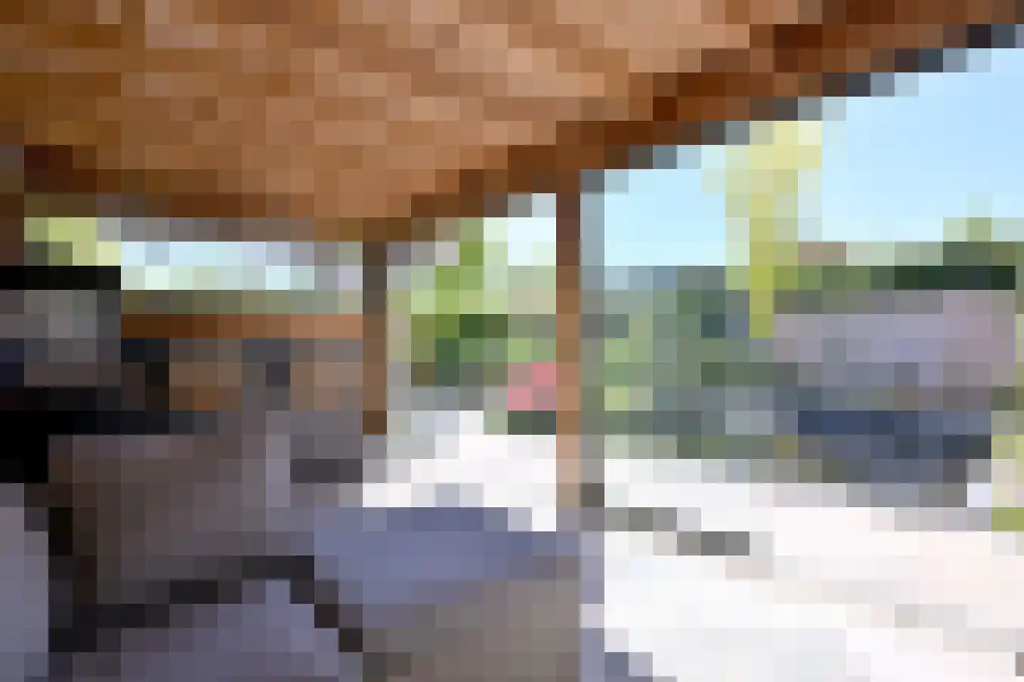 Johannes Tavenraatweg 8 Deventer thumbnail 17
