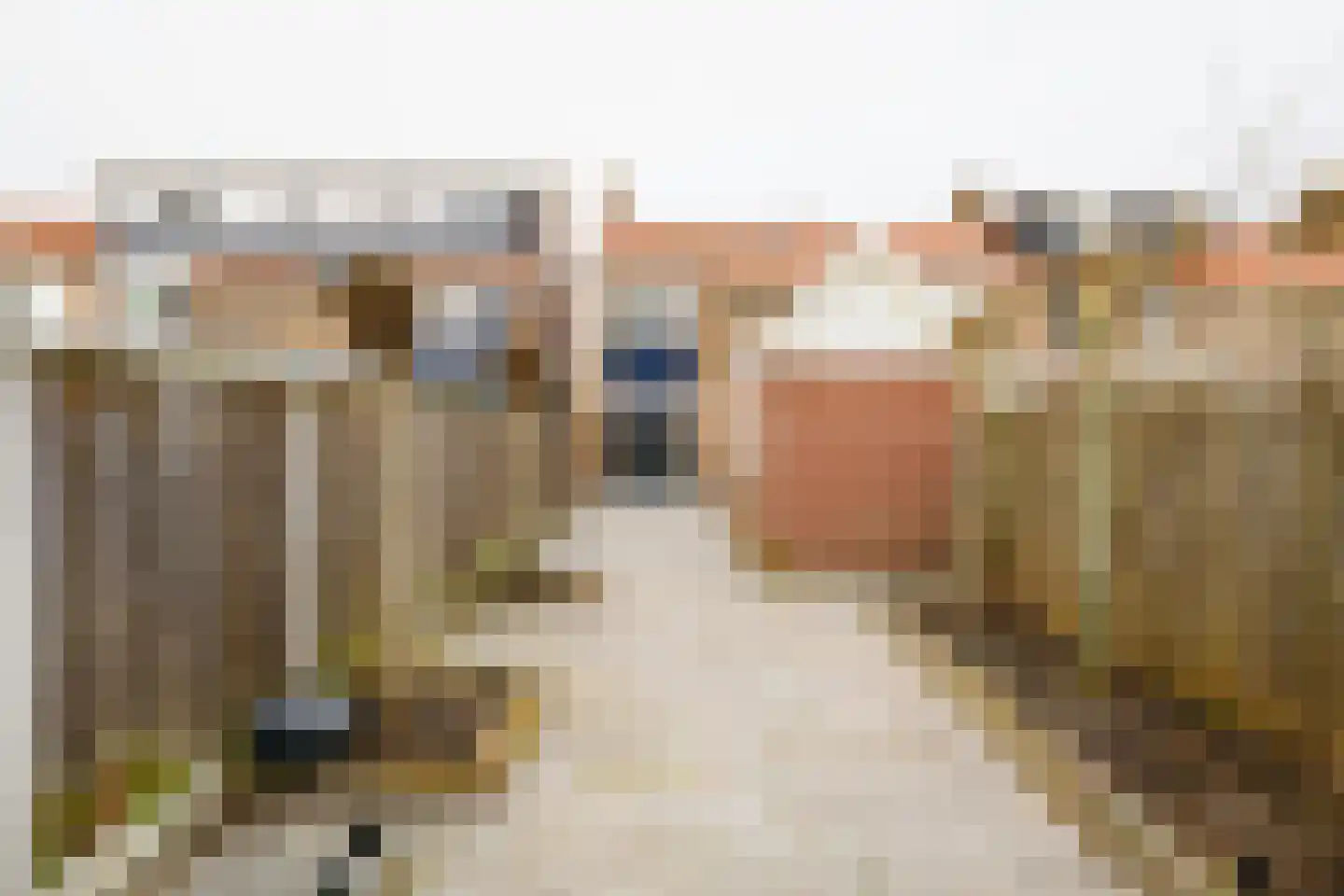 Johannes ter Horststraat 11 Enschede thumbnail 28