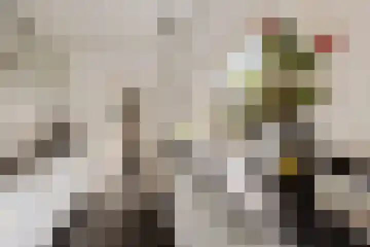 Johannes ter Horststraat 14 Enschede thumbnail 14