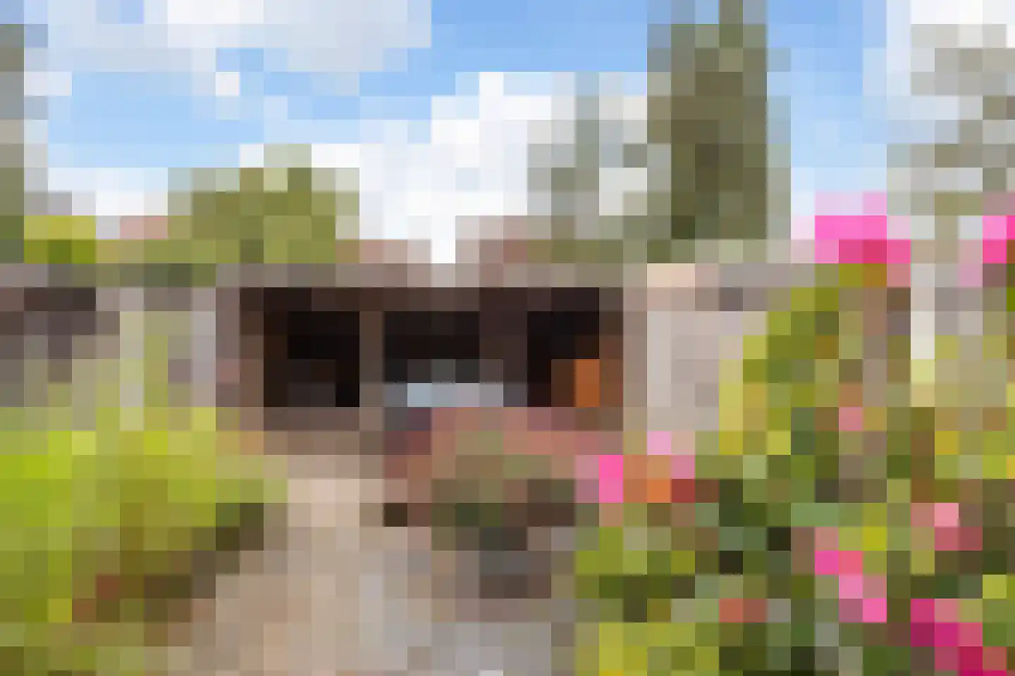 Johannes ter Horststraat 19 Enschede thumbnail 29
