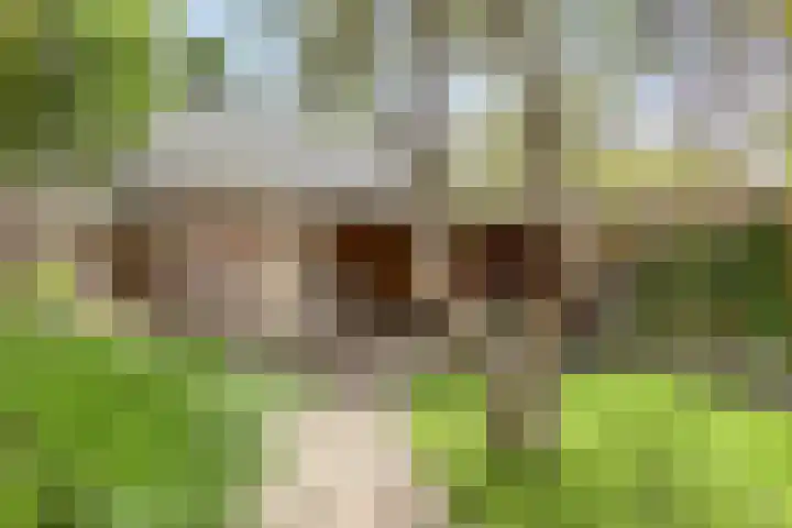 Johannes ter Horststraat 43 Enschede thumbnail 43