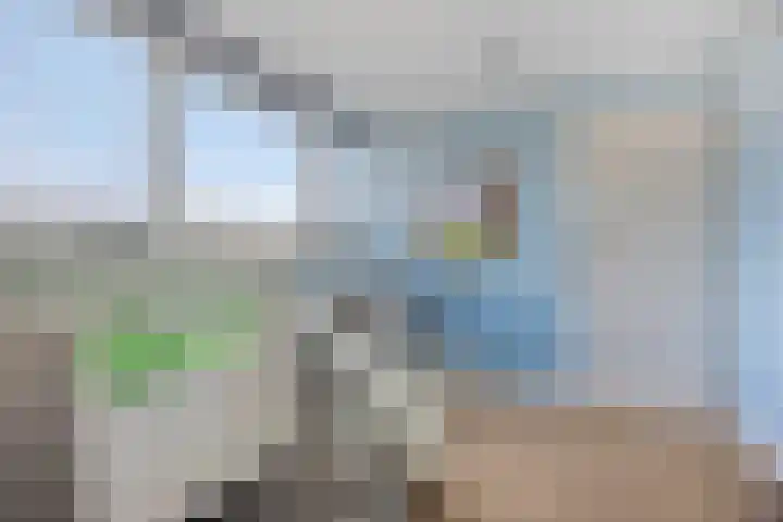 Johannes Timmerspad 9 Hoek van Holland thumbnail 37