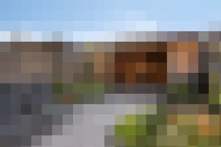 Johannes Timmerspad 9 Hoek van Holland thumbnail 5