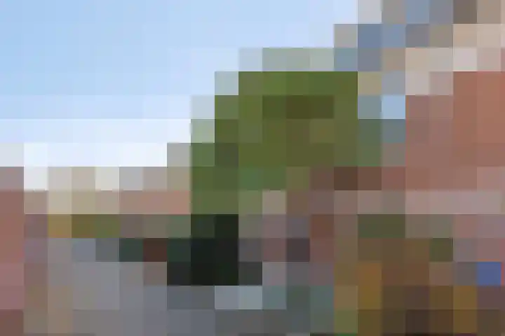 Johannes Timmerspad 9 Hoek van Holland thumbnail 6