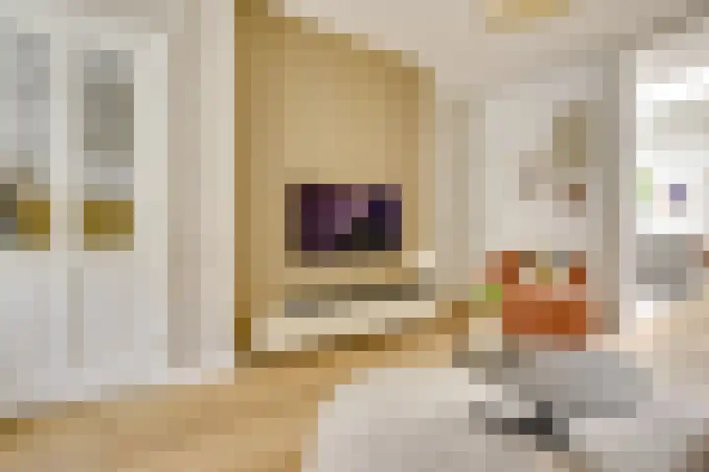 Johannes Uitenbogaertstraat 15 Utrecht thumbnail 15