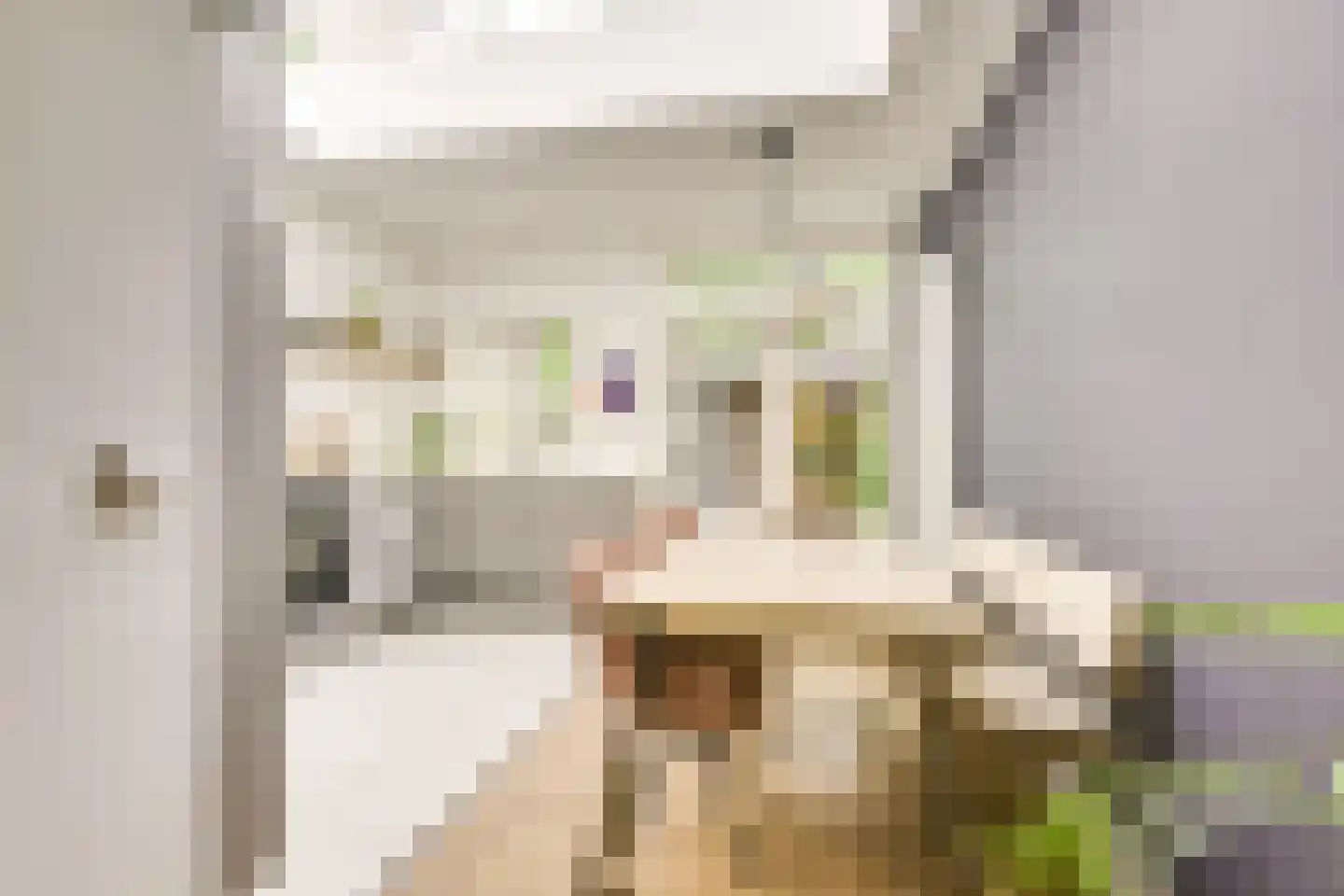 Johannes Uitenbogaertstraat 15 Utrecht thumbnail 20