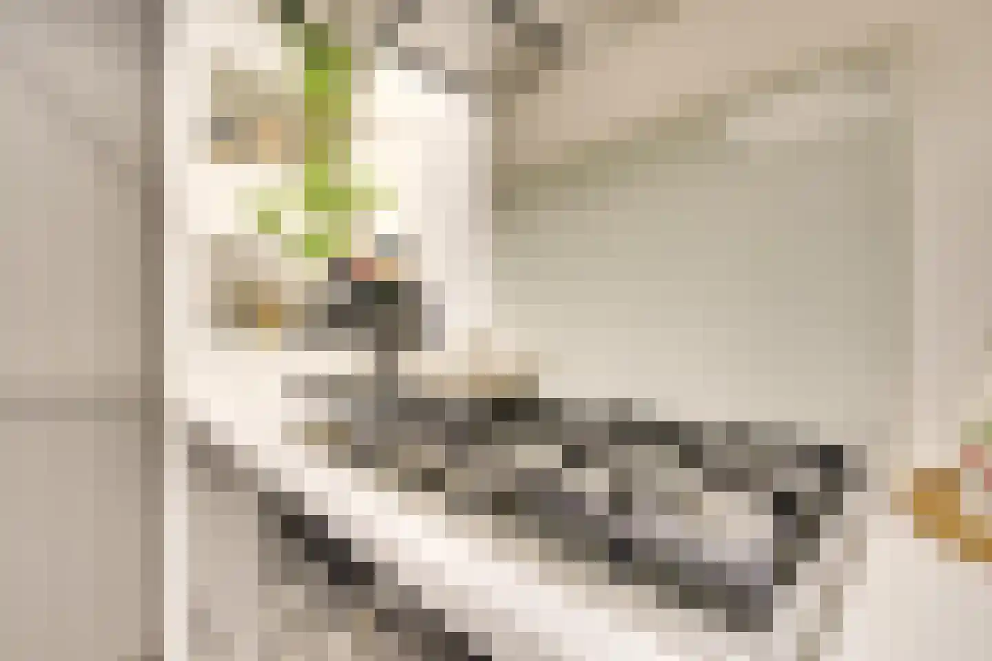 Johannes Uitenbogaertstraat 15 Utrecht thumbnail 23