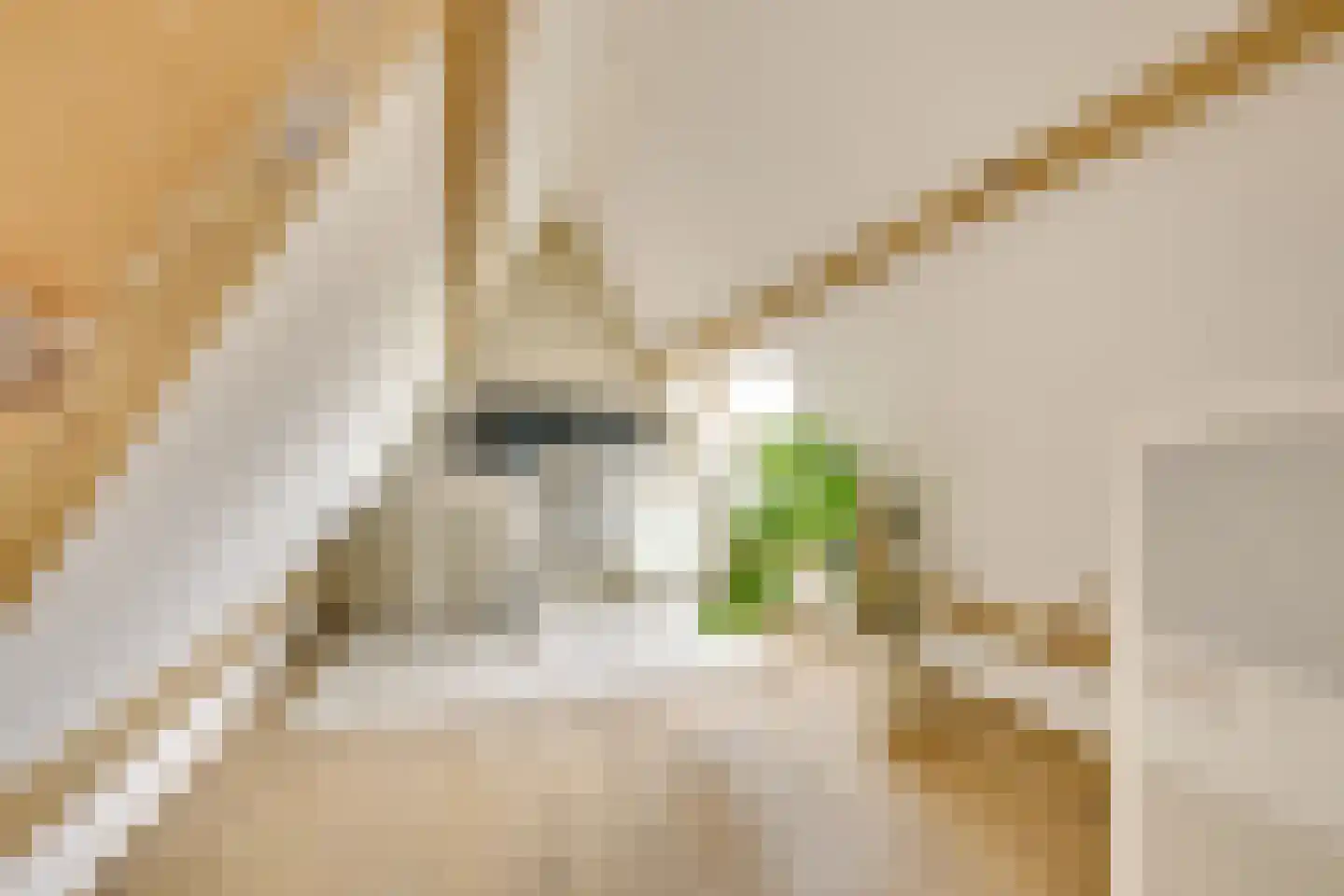 Johannes Uitenbogaertstraat 15 Utrecht thumbnail 51