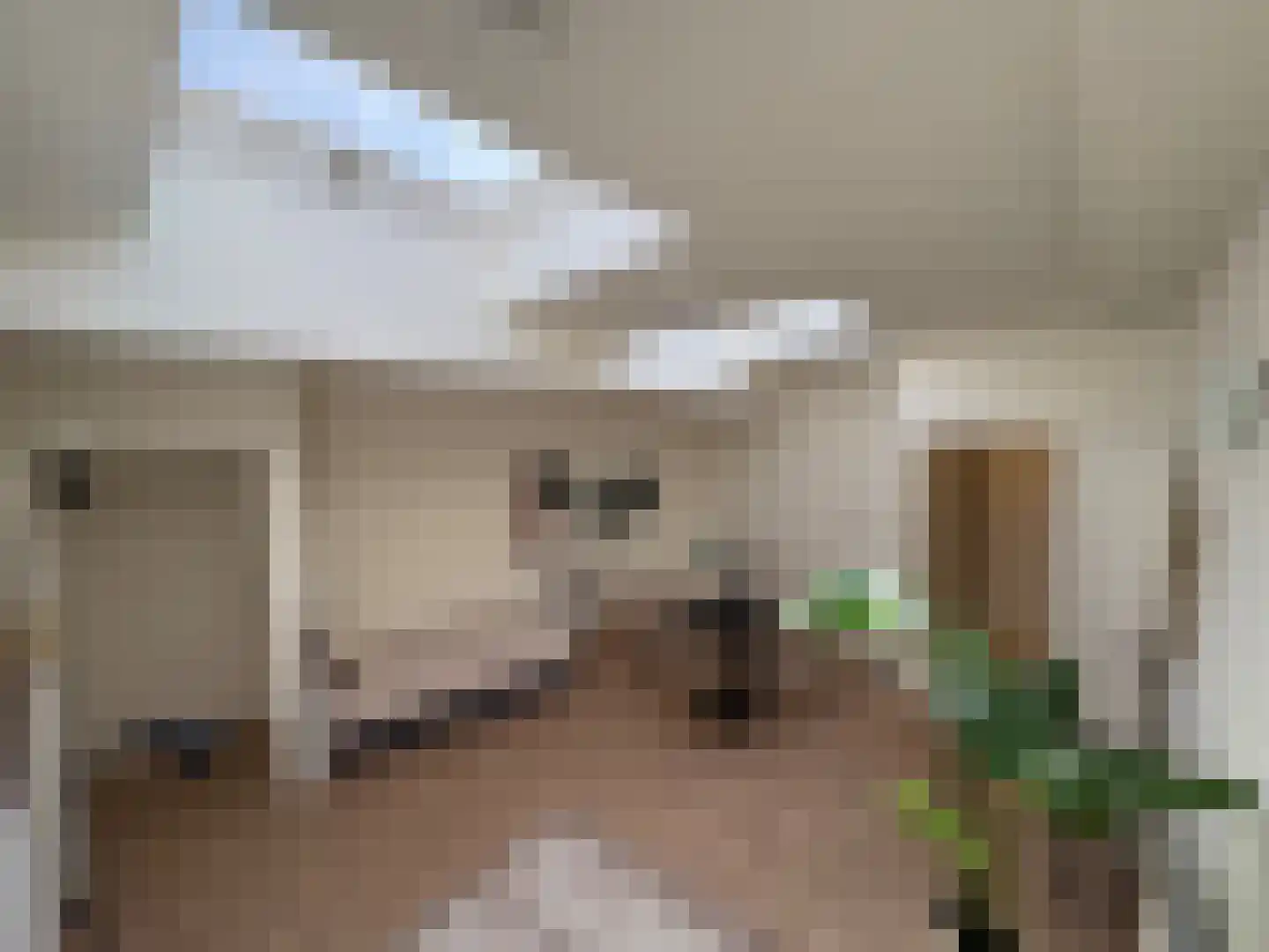Johannes Uitenbogaertstraat 21 A Utrecht thumbnail 4