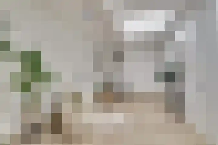 Johannes Uitenbogaertstraat 21 C Utrecht thumbnail 4