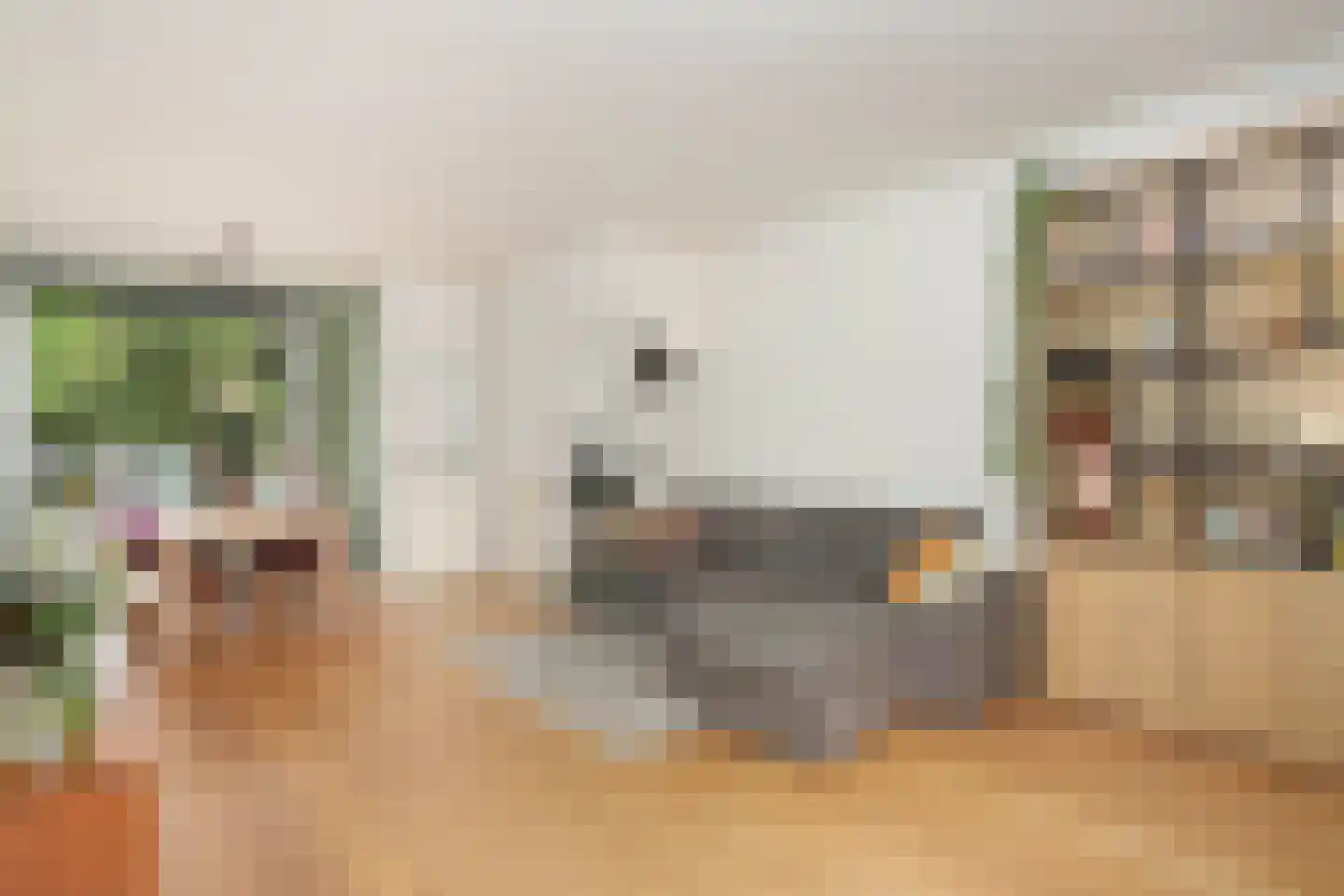 Johannes Uitenbogaertstraat 24 Utrecht thumbnail 5