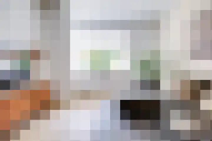 Johannes Uitenbogaertstraat 44 Utrecht thumbnail 4