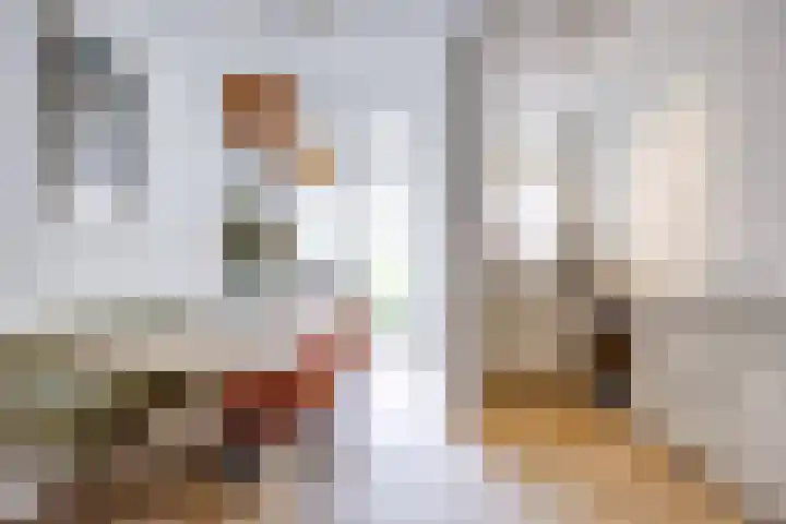 Johannes Uitenbogaertstraat 44 Utrecht thumbnail 5