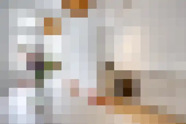 Johannes Uitenbogaertstraat 44 Utrecht thumbnail 6