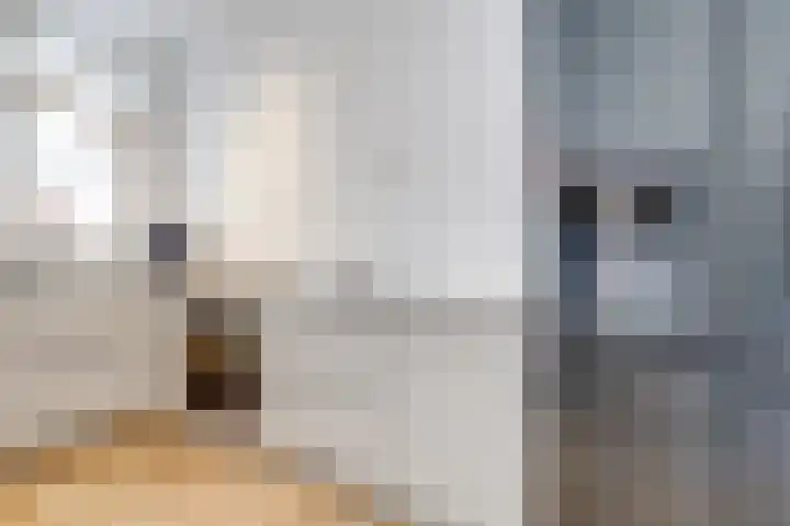 Johannes Uitenbogaertstraat 44 Utrecht thumbnail 7