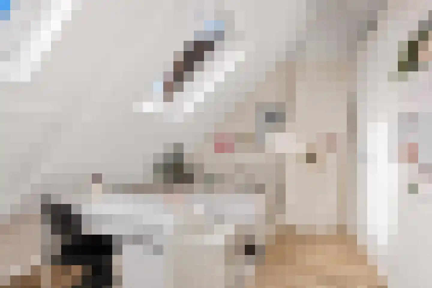 Johannes Uitenbogaertstraat 53 Utrecht thumbnail 47