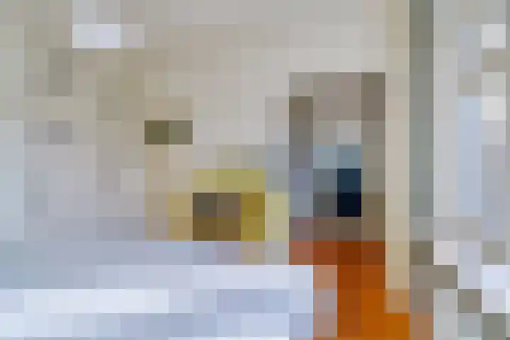 Johannes van Andelstraat 15 Utrecht thumbnail 32