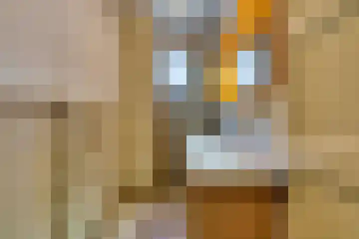 Johannes van Andelstraat 15 Utrecht thumbnail 41