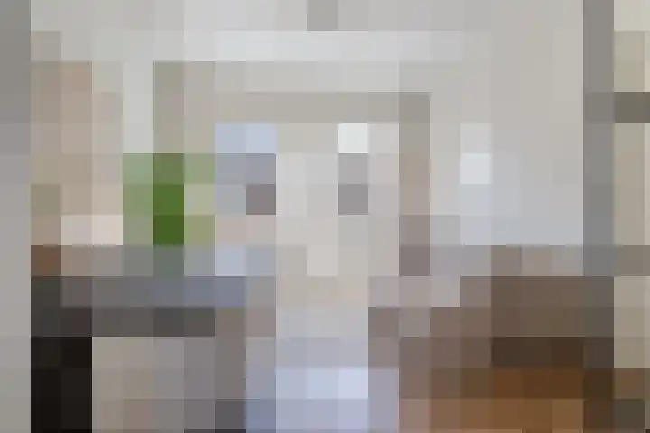 Johannes van Andelstraat 21 BS Utrecht thumbnail 10