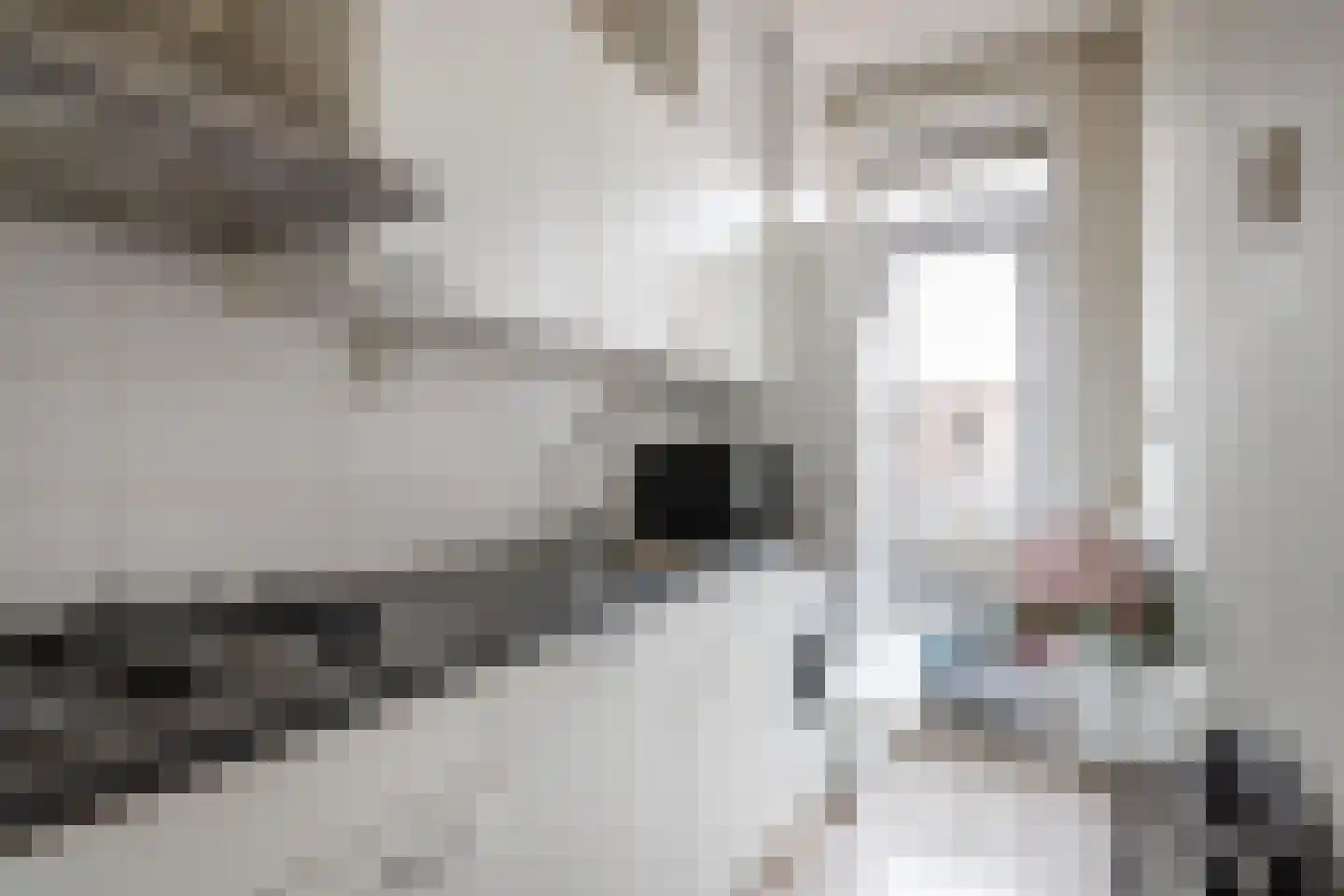 Johannes van Andelstraat 7 BS Utrecht thumbnail 9