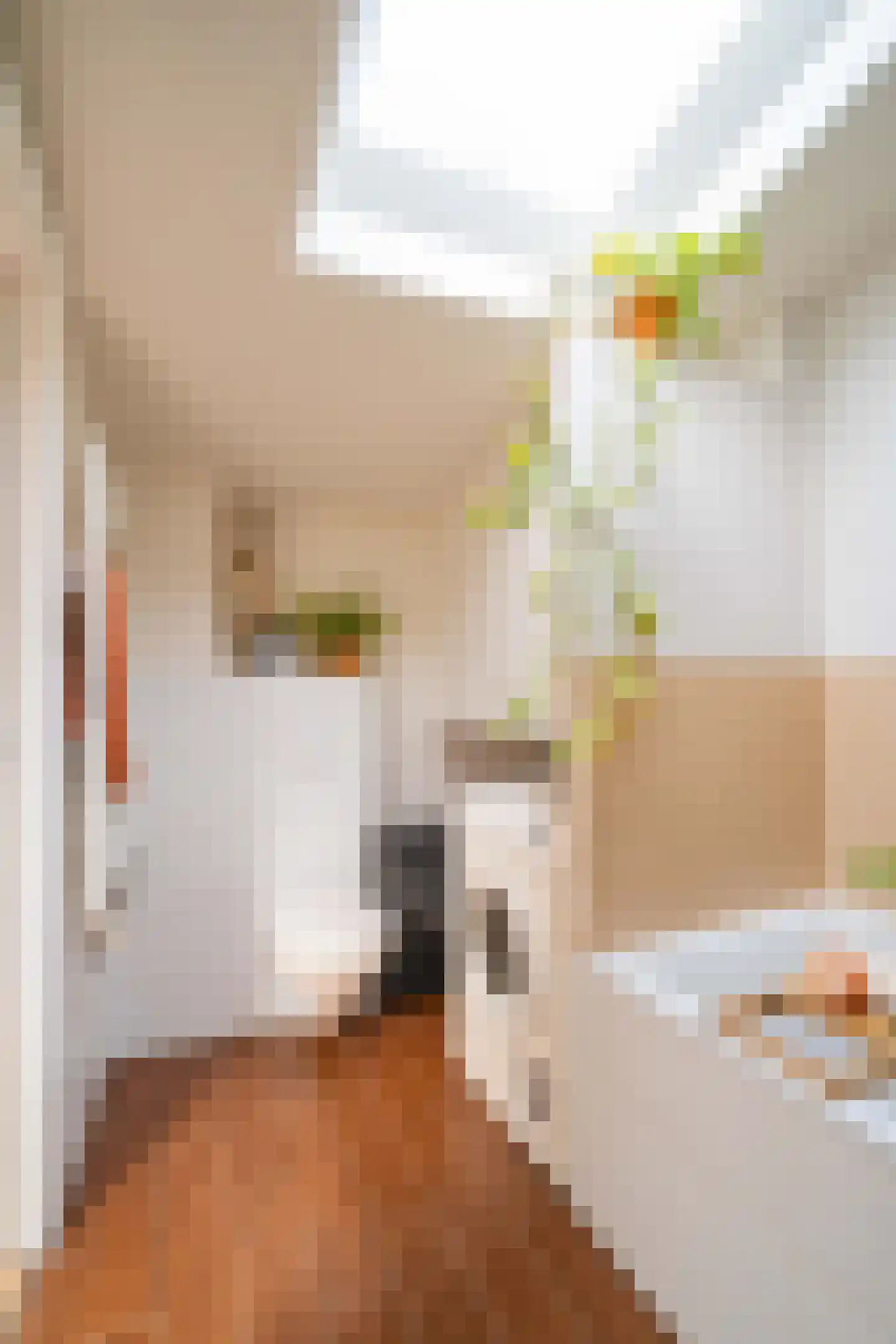 Johannes van Andelstraat 8 Utrecht thumbnail 27