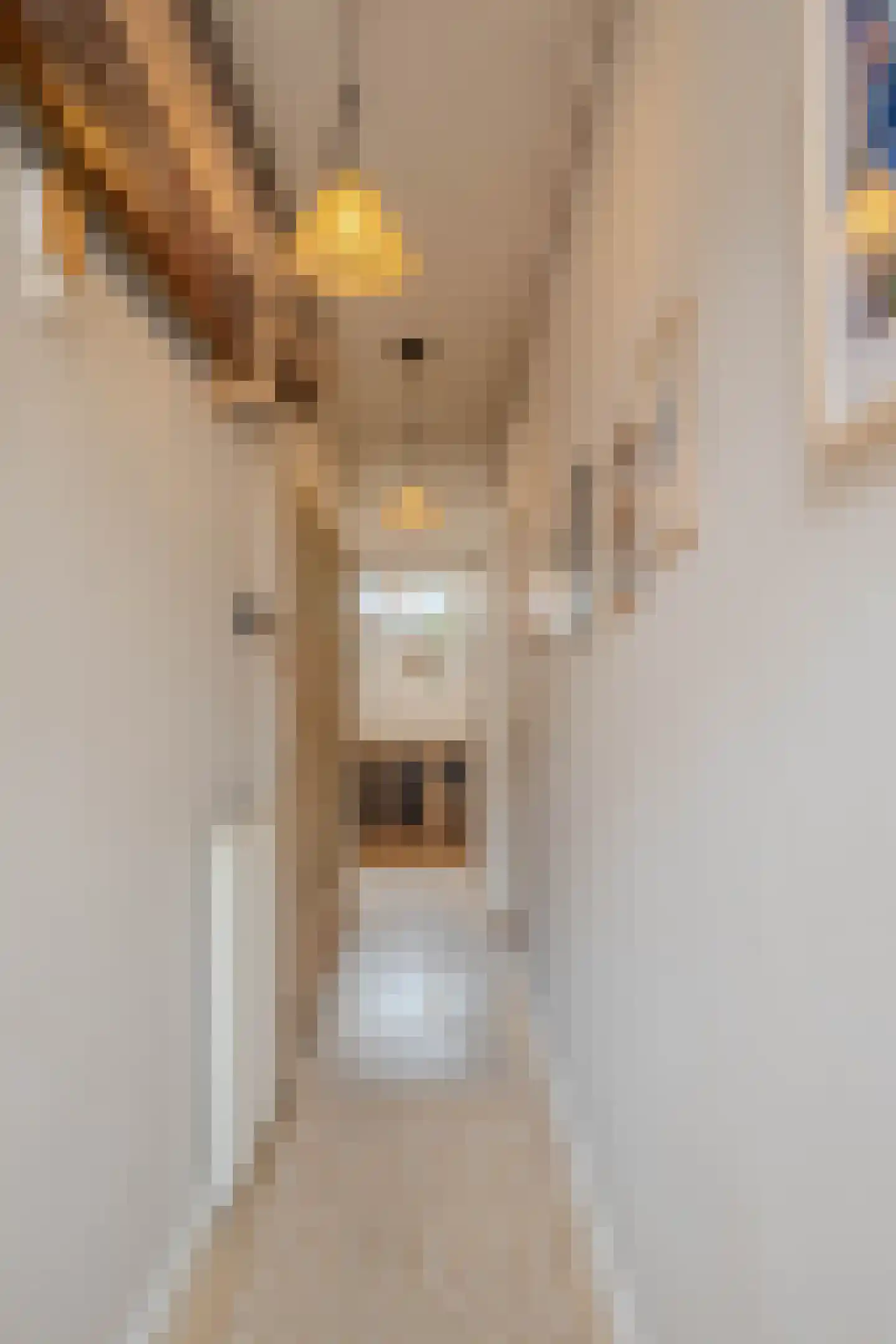 Johannes van Andelstraat 8 Utrecht thumbnail 6