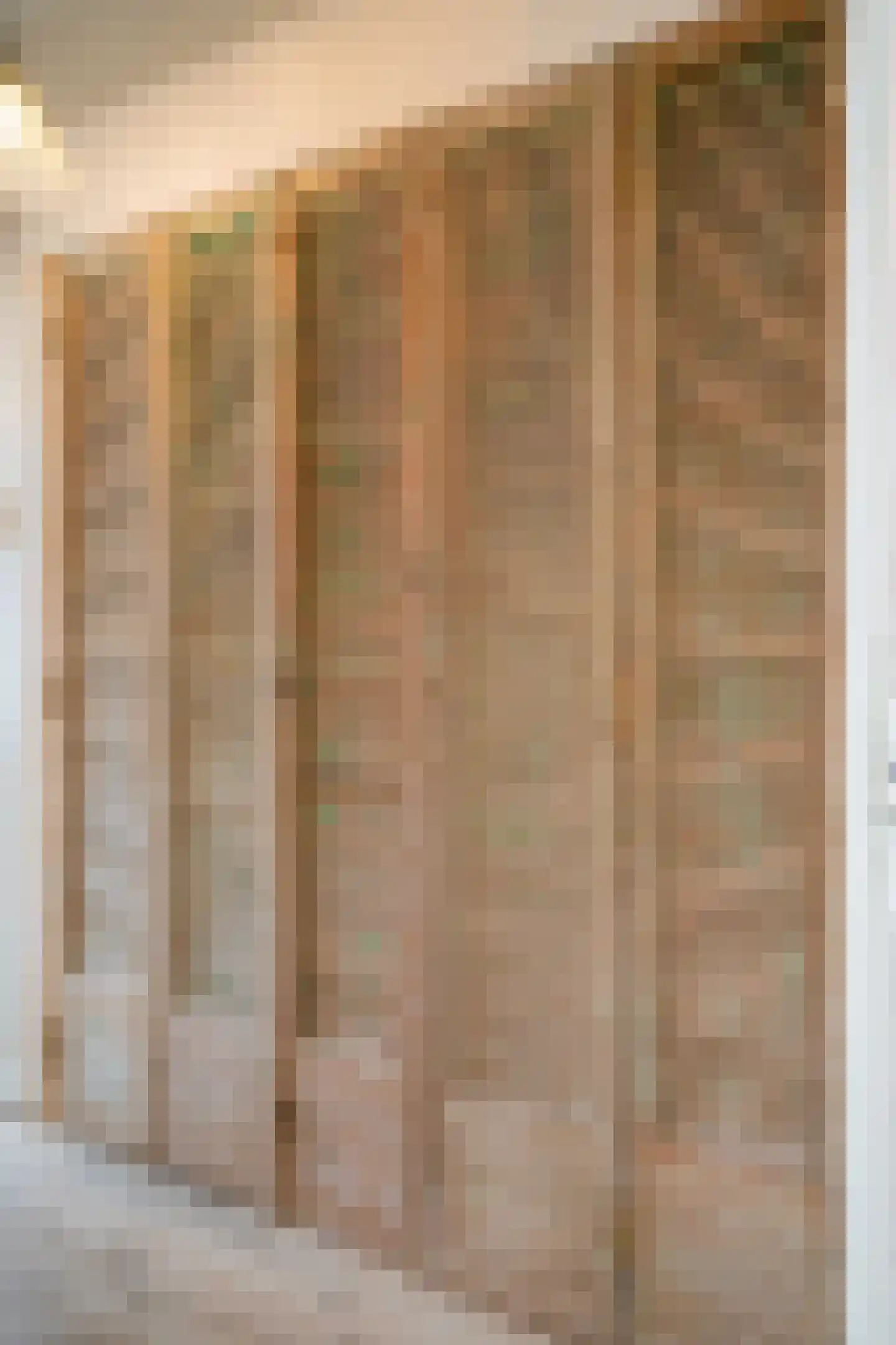Johannes van Andelstraat 8 Utrecht thumbnail 7
