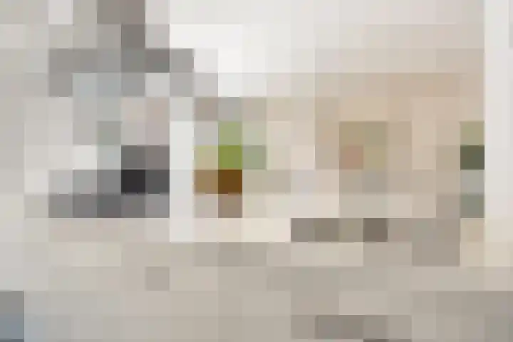 Johannes van der Waalsstraat 101 1 Amsterdam thumbnail 11