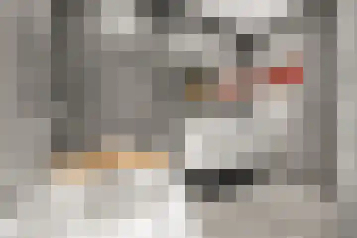 Johannes van der Waalsstraat 101 1 Amsterdam thumbnail 27