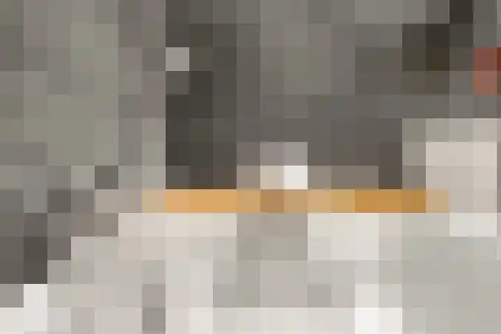 Johannes van der Waalsstraat 101 1 Amsterdam thumbnail 29