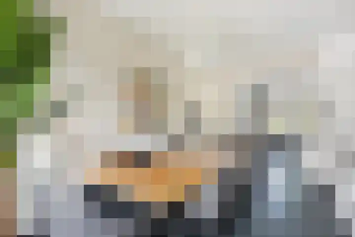 Johannes van der Waalsstraat 101 1 Amsterdam thumbnail 9