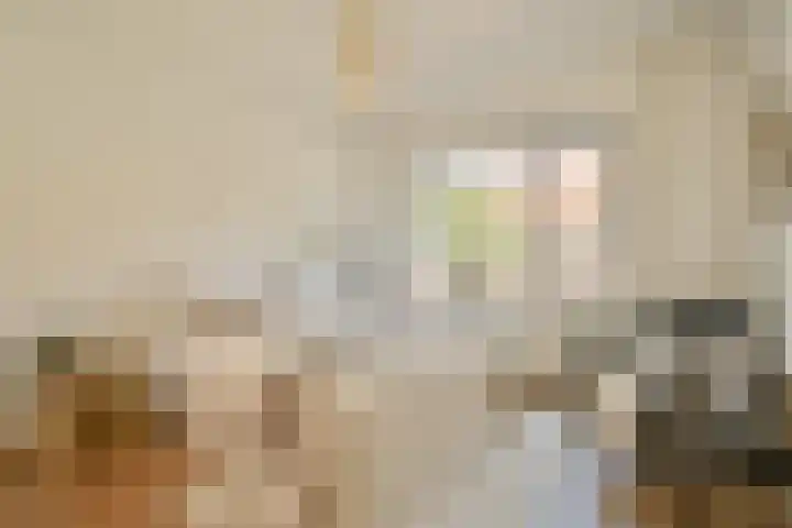 Johannes van der Waalsstraat 14 H Amsterdam thumbnail 12