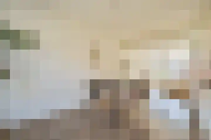 Johannes van der Waalsstraat 14 H Amsterdam thumbnail 8