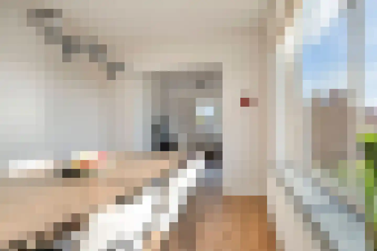 Johannes van der Waalsstraat 22 2 Amsterdam thumbnail 8