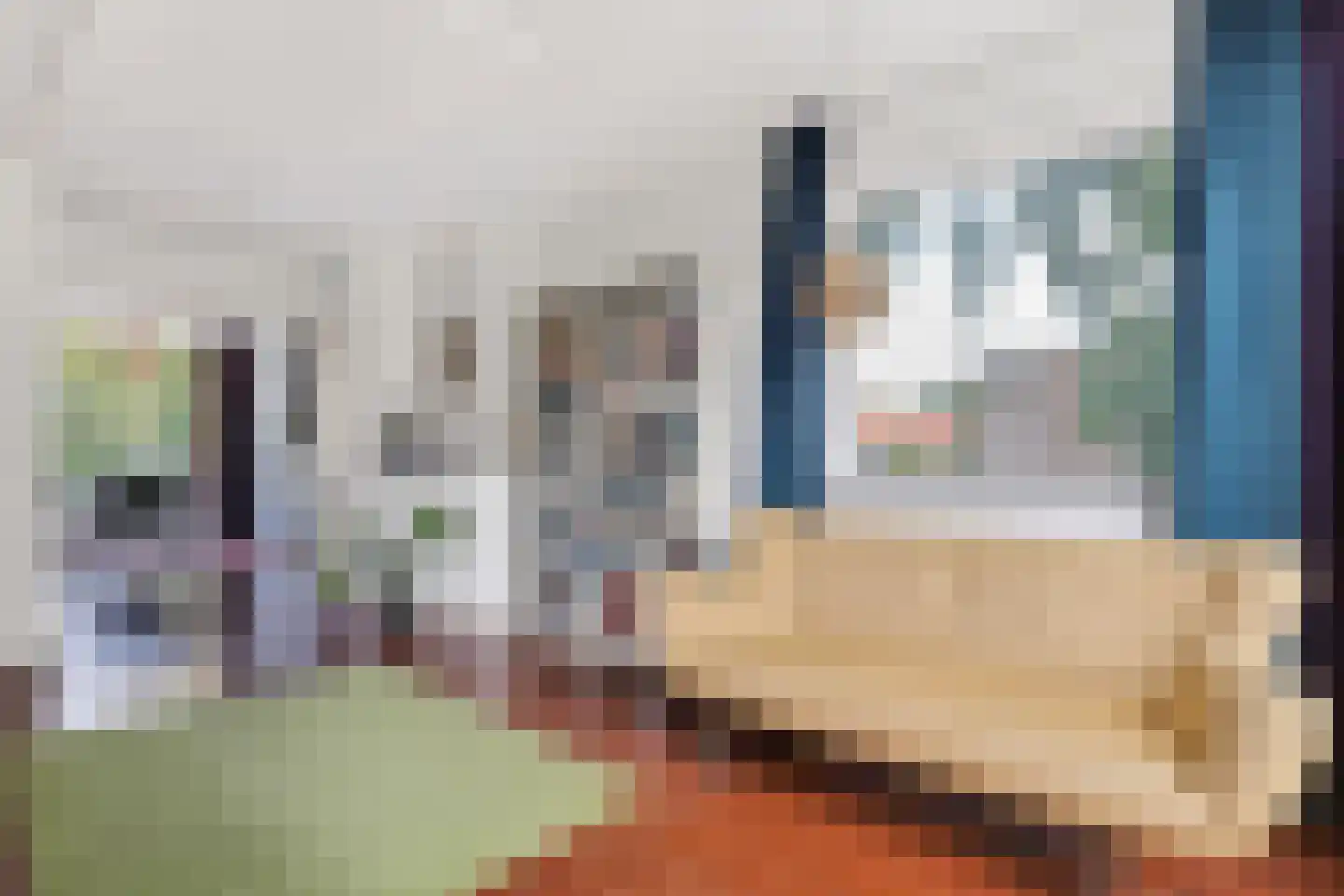 Johannes van der Waalsstraat 40 1 Amsterdam thumbnail 14