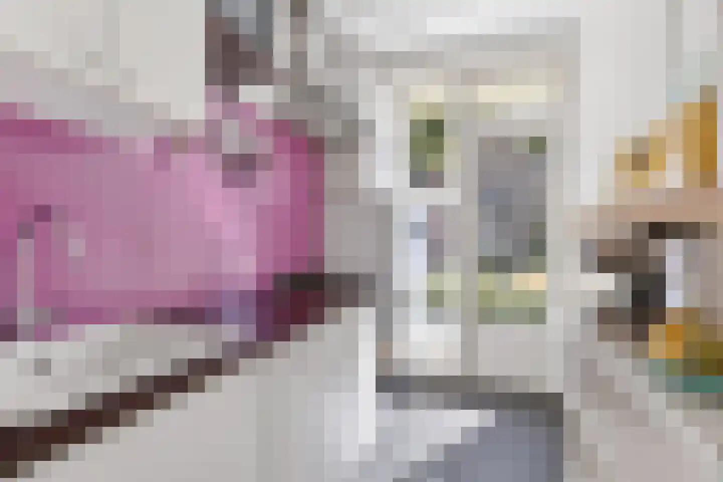 Johannes van der Waalsstraat 40 1 Amsterdam thumbnail 19