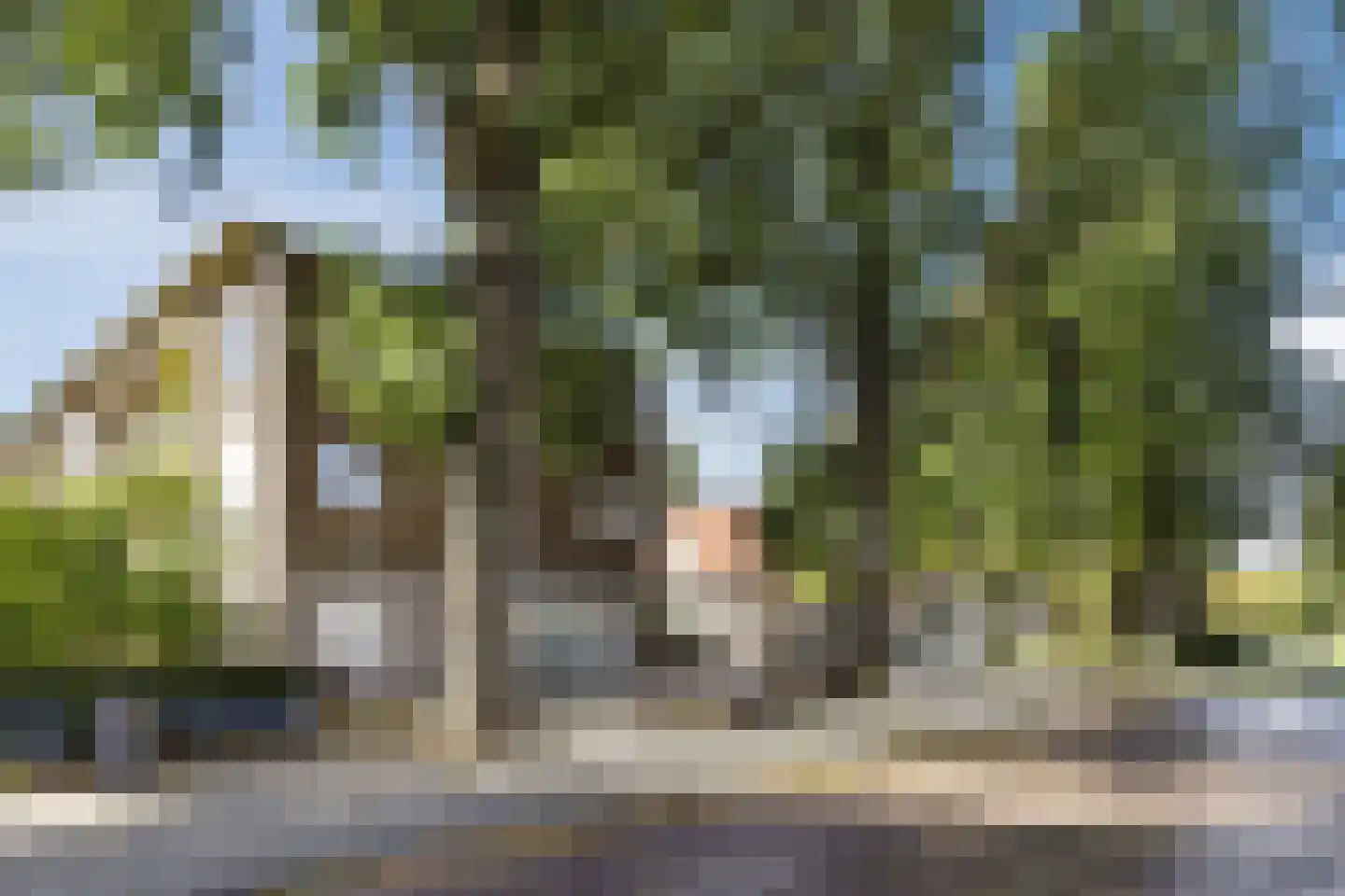 Johannes van der Waalsstraat 40 1 Amsterdam thumbnail 26