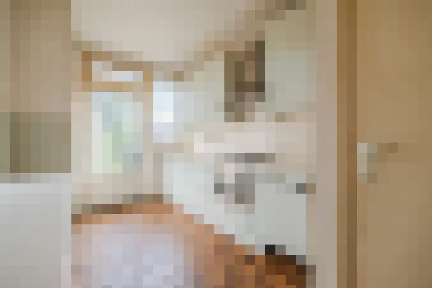 Johannes van der Waalsweg 29 Eindhoven thumbnail 10