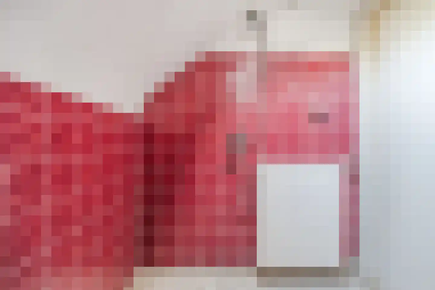 Johannes van der Waalsweg 29 Eindhoven thumbnail 27