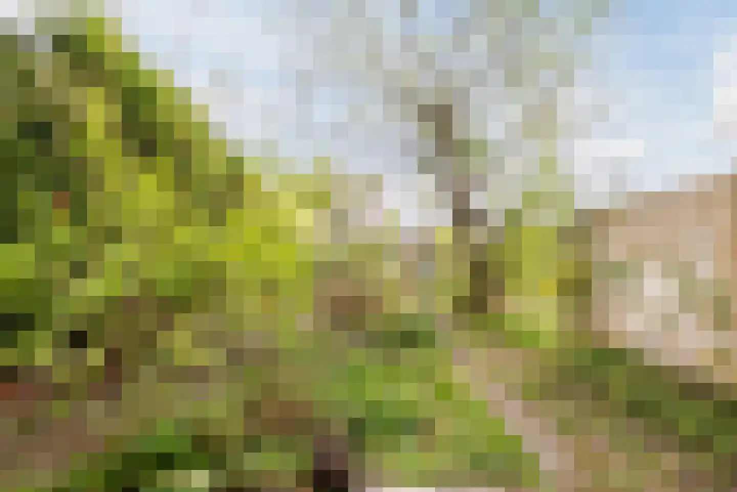 Johannes van der Waalsweg 29 Eindhoven thumbnail 29