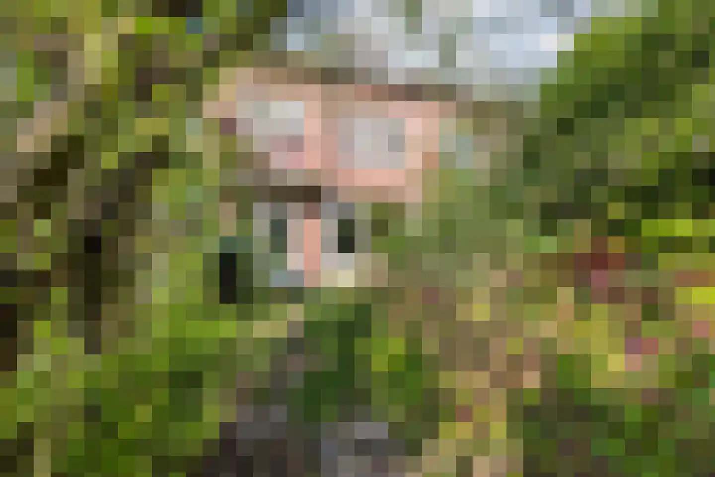 Johannes van der Waalsweg 29 Eindhoven thumbnail 31