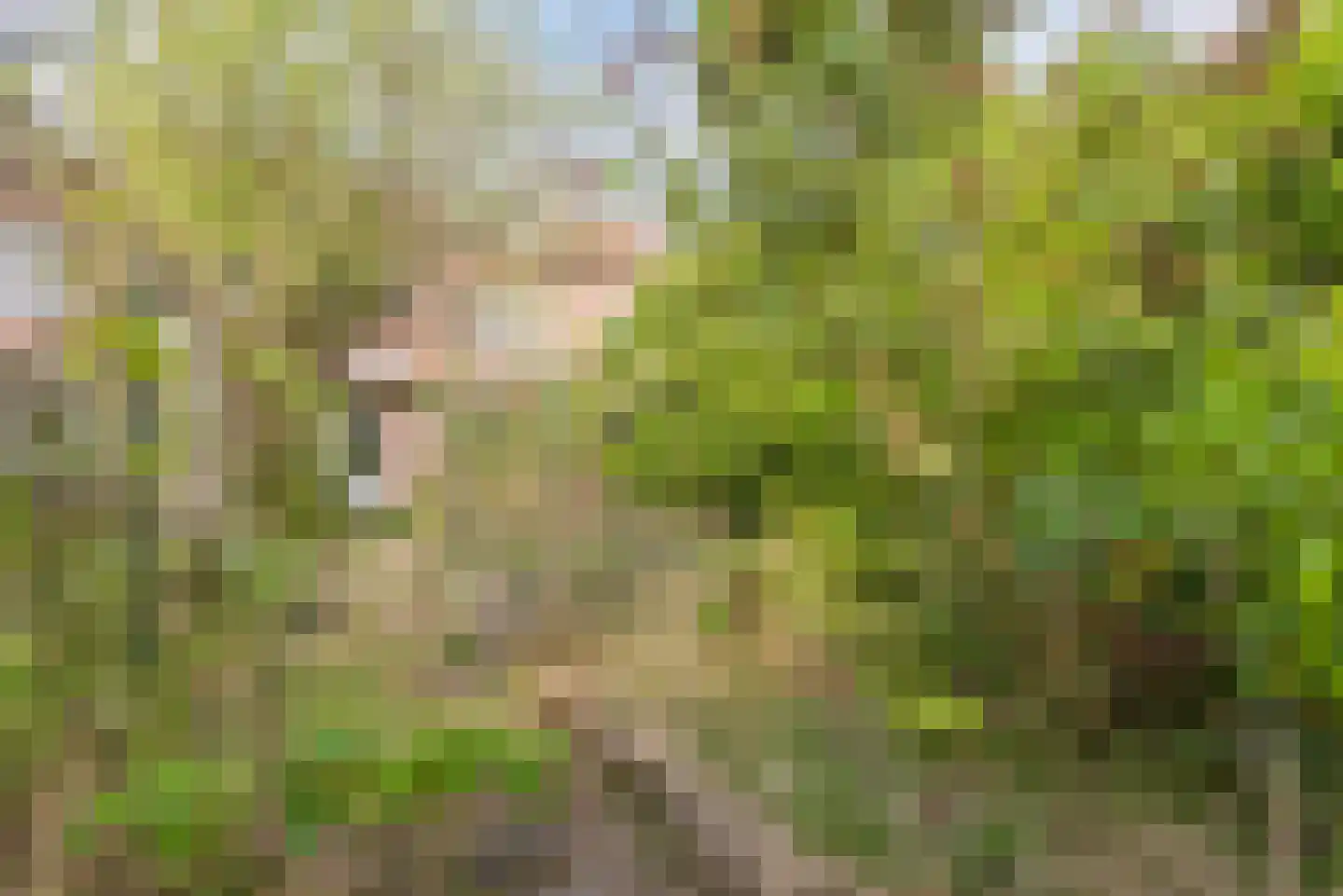 Johannes van der Waalsweg 29 Eindhoven thumbnail 32