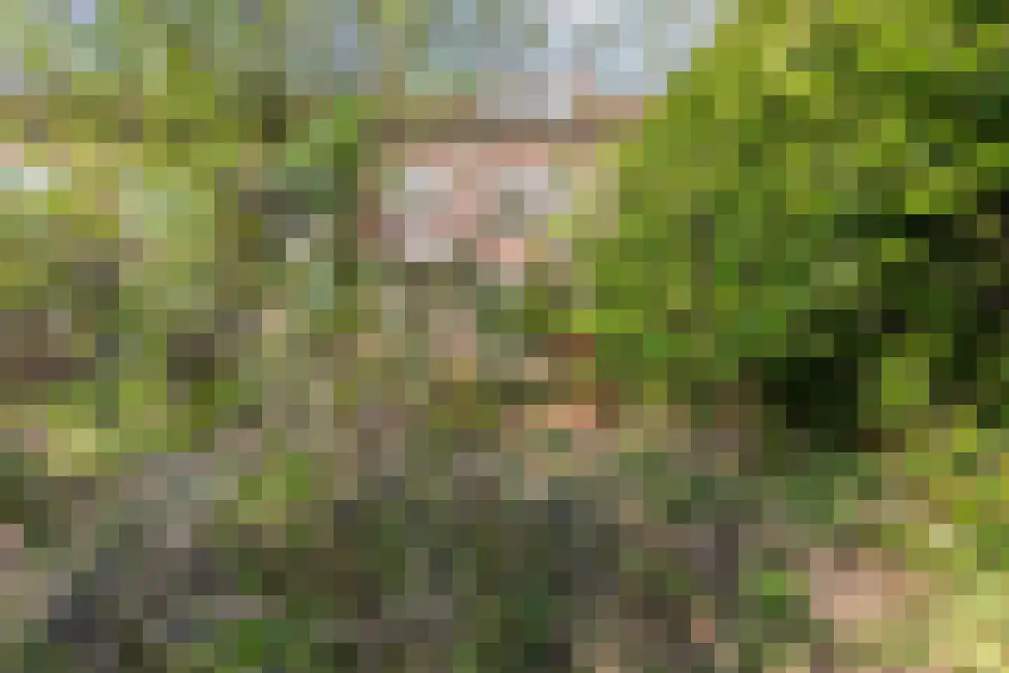 Johannes van der Waalsweg 29 Eindhoven thumbnail 33