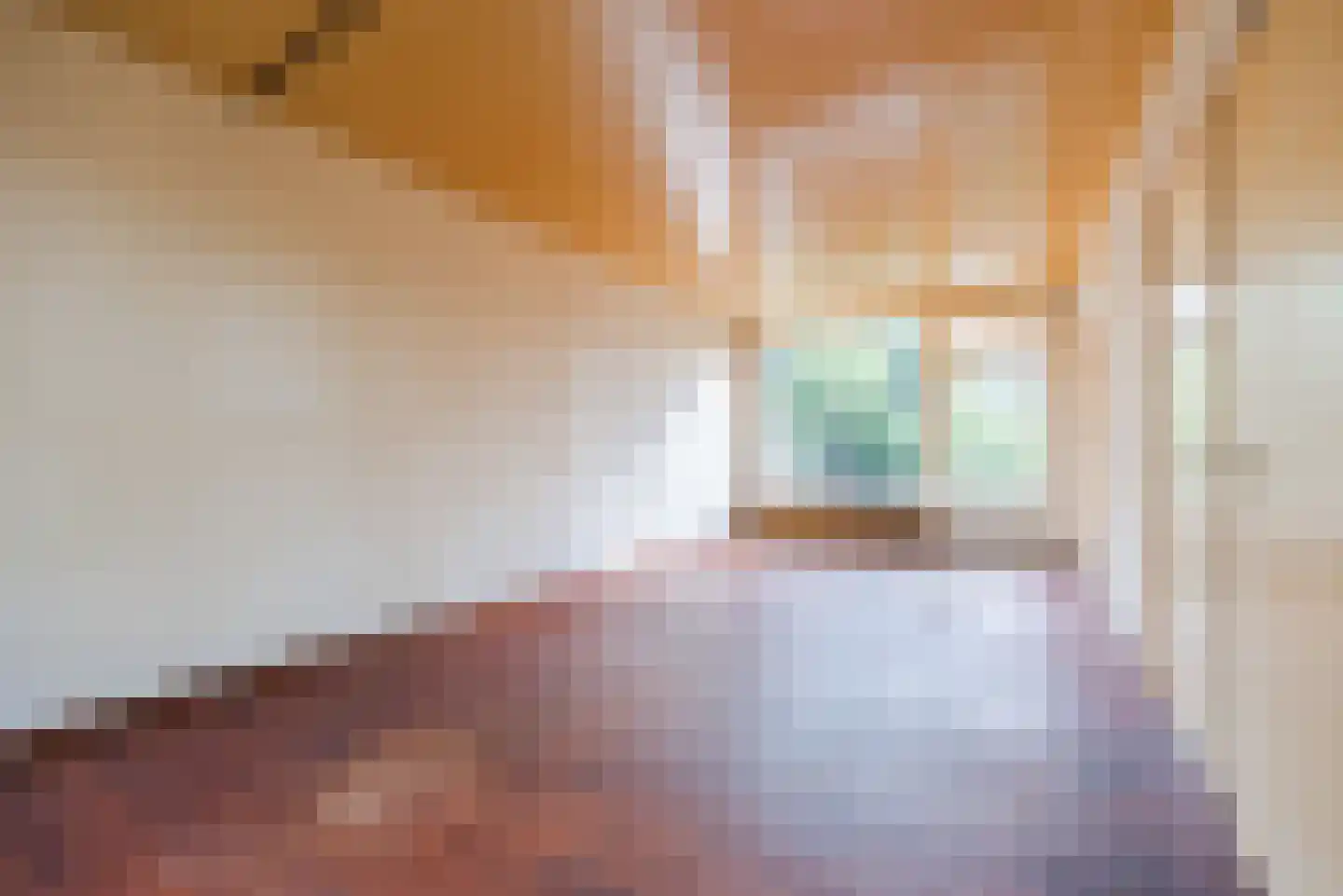 Johannes van der Waalsweg 29 Eindhoven thumbnail 6