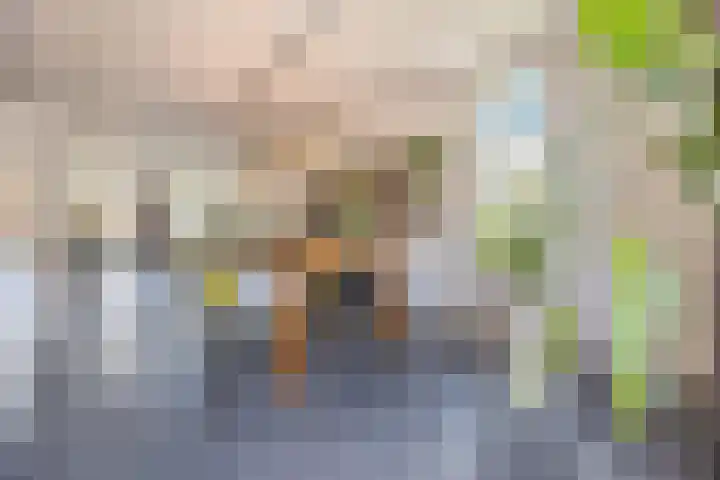 Johannes van Dreghtstraat 24 Rijen thumbnail 20