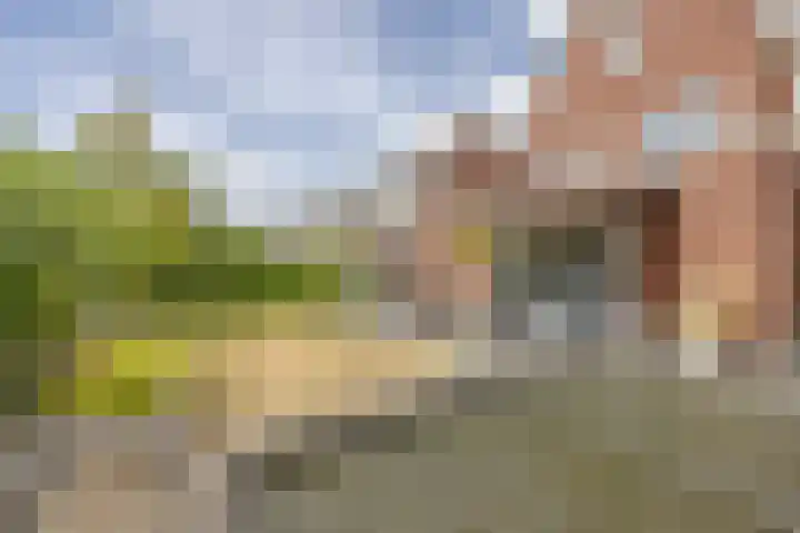 Johannes van Dreghtstraat 24 Rijen thumbnail 23