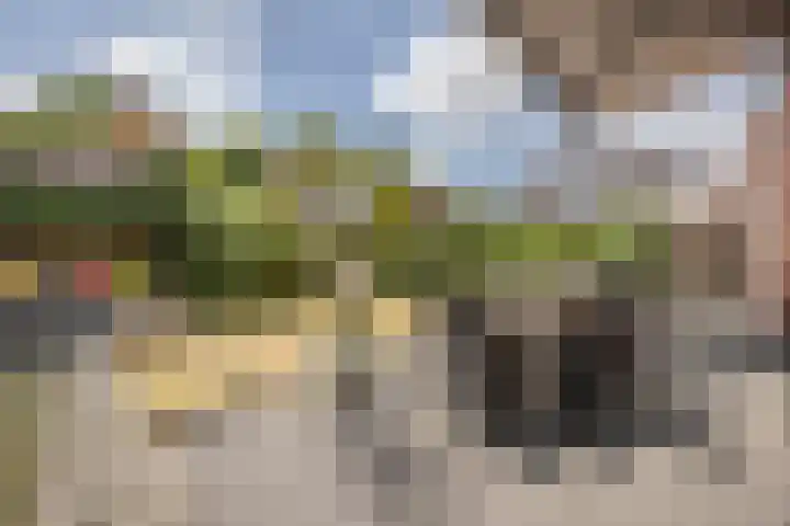 Johannes van Dreghtstraat 24 Rijen thumbnail 24