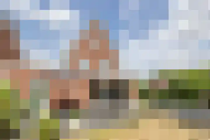 Johannes van Dreghtstraat 24 Rijen thumbnail 25