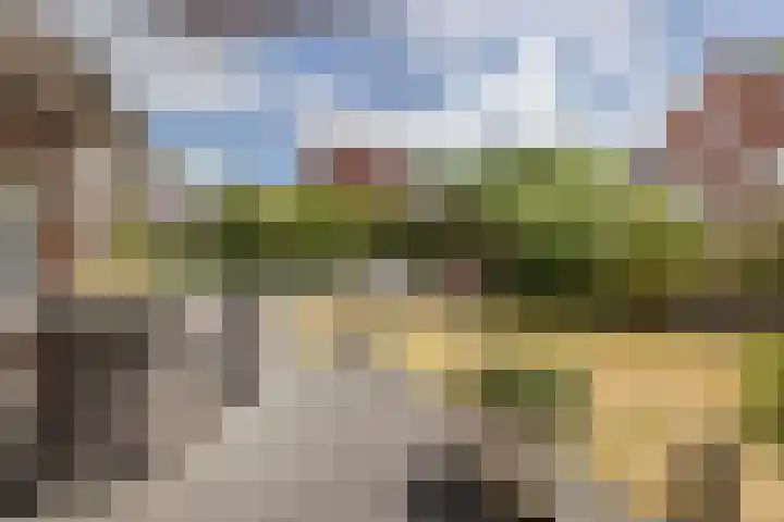 Johannes van Dreghtstraat 24 Rijen thumbnail 26